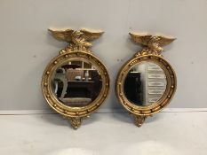A pair of Regency style circular gilt framed wall mirrors, width 46cm, height 69cm