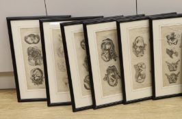 A set of eight medical and anatomical 18th century engravings, illustrating the theory and