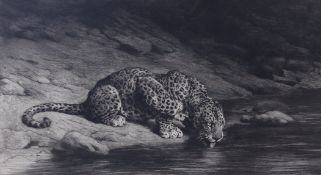 Herbert Dicksee (1862-1942), etching, Leopard Drinking, pencil signed, 31 x 46cm