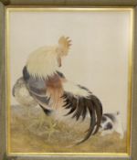 A large framed early 20th century Japanese silk polychrome embroidery of a cockerel, it’s chick and