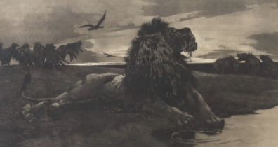 Herbert Dicksee (1862-1942), etching, The Dying Lion, signed in pencil, publ.1887, 27 x 46cm