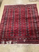 A Bokhara red ground rug, 145 x 120cm