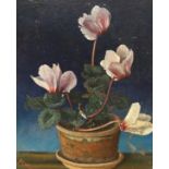 F.C. Williams (20th. C), oil on canvas board, Still life of Cyclamen, signed, 29 x 24cm