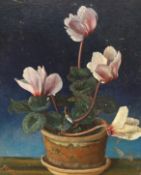 F.C. Williams (20th. C), oil on canvas board, Still life of Cyclamen, signed, 29 x 24cm