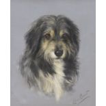 Lilian Cheviot (fl.1894-1924), oil on canvas, study of a collie dog, signed, 57 x 47cm