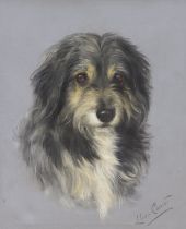 Lilian Cheviot (fl.1894-1924), oil on canvas, study of a collie dog, signed, 57 x 47cm