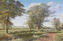 Harold Nash (20th. C), oil on canvas, Rural landscape with trees, signed and dated August 1976, 49 x