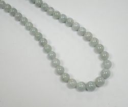 A single strand graduated jade bead necklace, with high carat yellow metal clasp, 46cm.