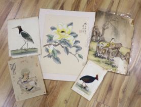 A group of unframed Chinese and Indian paintings and prints, including the Bengall Water Rail,