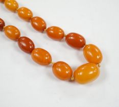 A single strand graduated oval amber bead necklace, 114cm, gross weight 84 grams.