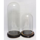 Two glass domes on stands, largest 55cm high