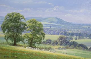 Christopher Osborne (b.1947), oil on board, 'Towards Wolstonbury Hill near Ditchling', signed,