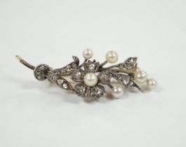 A cased Victorian yellow metal, seed pearl and rose cut diamond set foliate spray brooch, 39mm,