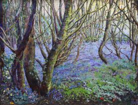 Daniel Fallshaw (b.1946), impasto oil on canvas, 'Bluebell Wood', signed and dated 2000, 72 x 92cm