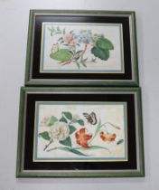 A pair of Chinese pith paper paintings, still life’s of flowers and butterflies, 16 x 26cm