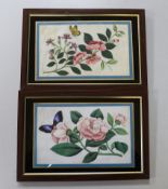 A pair of Chinese pith paper paintings, still life’s of flowers and butterflies, 14 x 23cm