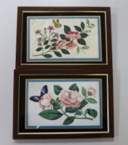 A pair of Chinese pith paper paintings, still life’s of flowers and butterflies, 14 x 23cm