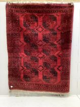 An Afghan red ground rug, 220 x 170cm together with a Bokhara rug