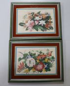 A pair of Chinese pith paper paintings, still life’s of flowers, 17 x 27cm