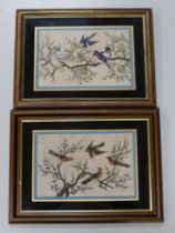 A pair of Chinese pith paper paintings, birds of paradise, 17 x 26cm