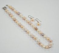 A single strand multi coloured freshwater pearl necklace, 44cm and a pair of freshwater pearl drop