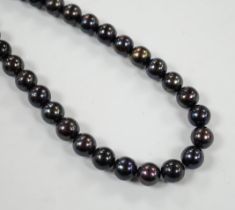 A modern single strand cultured Tahitian pearl necklace, with white metal clasp, 52cm.