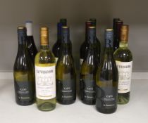 14 bottles of various white and red wines including Gavi, Ca’Vescovo, Cazat Beaugiene etc,