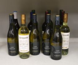 14 bottles of various white and red wines including Gavi, Ca’Vescovo, Cazat Beaugiene etc,
