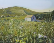 Paul Evans (b.1954) gouache, Meadow landscape with barns, signed, 43 x 55cm