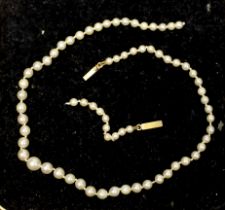 A single strand graduated cultured pearl necklace, with yellow metal clasp (a.f.), 31cm.