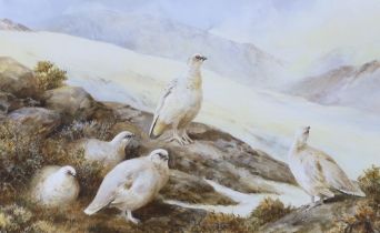 Neil Cox (b. 1955) watercolour, Ptarmigan, signed, 32 x 52cm