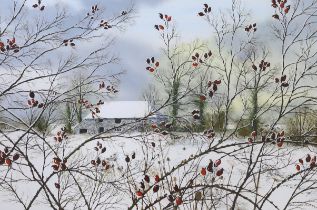 Paul Evans (b.1954) gouache, Winter landscape with red berries, signed, 34 x 47cm