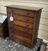 A late 19th century mahogany seven drawer collectors cabinet, 52cm high