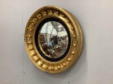 A Regency circular giltwood and composition convex wall mirror, diameter 56cm