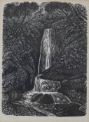Reynolds Stone (1909-1979), woodcut, 'The Waterfall', pencil numbered 107/500, details verso, 12 x