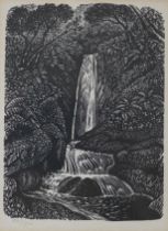 Reynolds Stone (1909-1979), woodcut, 'The Waterfall', pencil numbered 107/500, details verso, 12 x