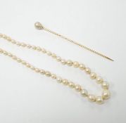 An early 20th century single strand graduated seed pearl necklace, with diamond set white metal