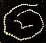 A single strand graduated cultured pearl necklace, with yellow metal clasp (a.f.), 31cm.