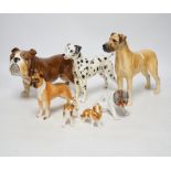 A collection of dog figures including Border Fine Art, tallest Great Dane 17cm high