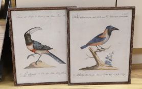 Violante Vanni (Italian, 1732–1776) and Lorenzo Lorenzi (Italian, active ca. 1750–80), two colour