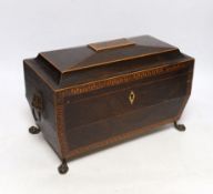 A Regency inlaid rosewood tea caddy, with two canisters, gilt brass handles and claw feet, 20cm