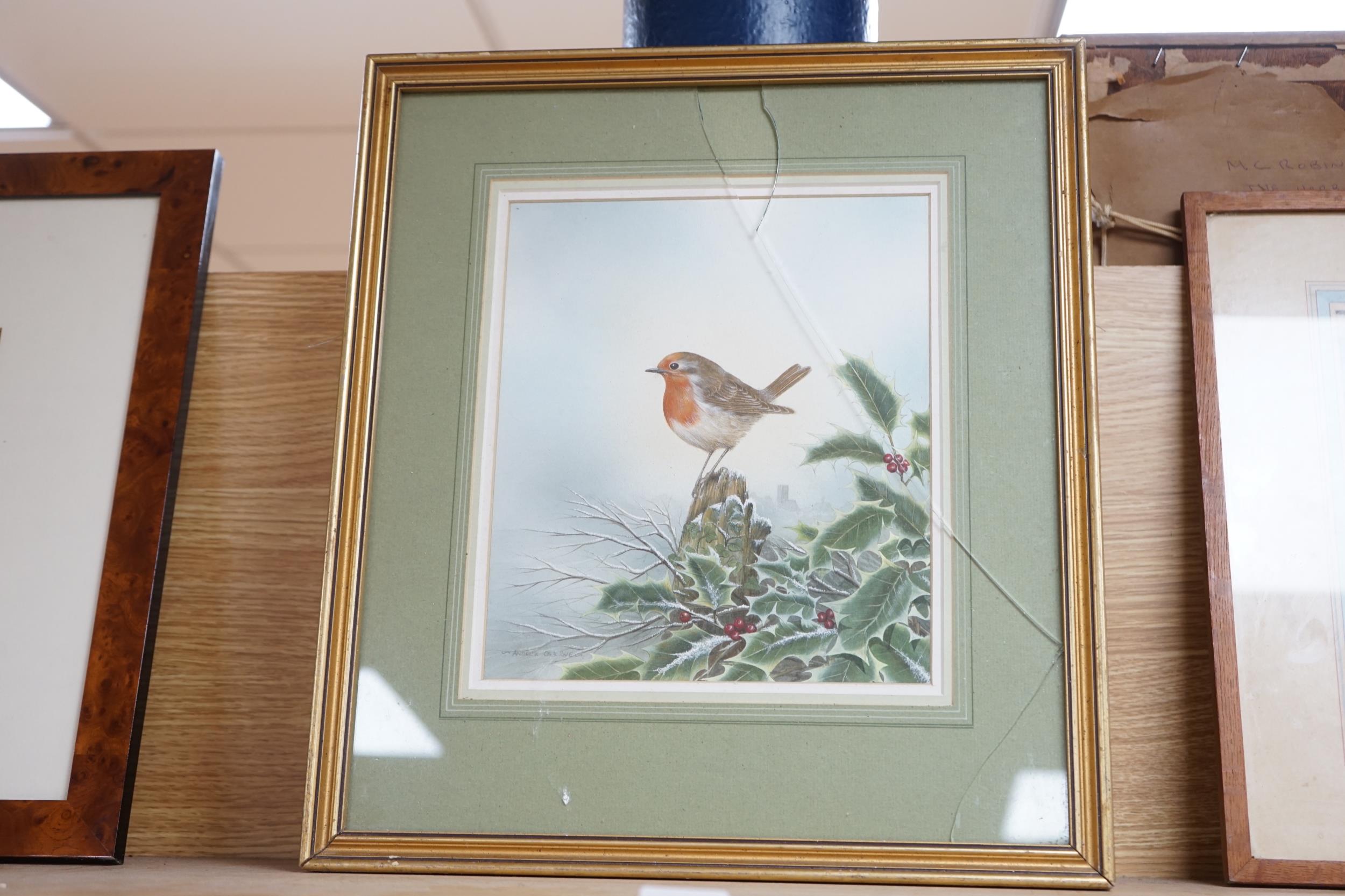 Andrew Osborne (b.1968), watercolour, Robin on a holly branch, signed, 26 x 22cm - Image 2 of 6