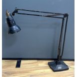 An anglepoise lamp (1208?) 100cm high