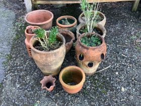 Fourteen assorted terracotta garden planters, largest width 36cm, height 32cm