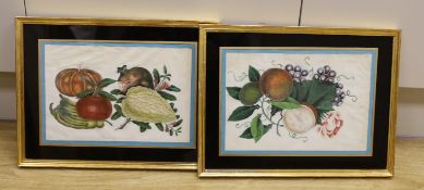 19th century Chinese School, pair of pith paper paintings, Still lifes of fruit, each 17 x 26cm