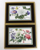 19th century Chinese school, pair of pith paper paintings, Still lifes of flowers, 16.5 x 24cm