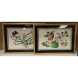 19th century Chinese school, pair of pith paper paintings, Still lifes of flowers, 16.5 x 25cm