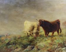 Graham, oil on canvas, Highland cattle in pasture, signed, 40 x 50cm
