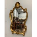A Rococo style gilt composition wall mirror, width 54cm, height 93cm