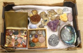 A collection of minerals, gemstones and fossils including quartz samples, ammonites, etc.